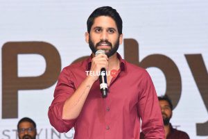 దర్శకుడితోనూ చెప్పించిన నాగచైతన్య!