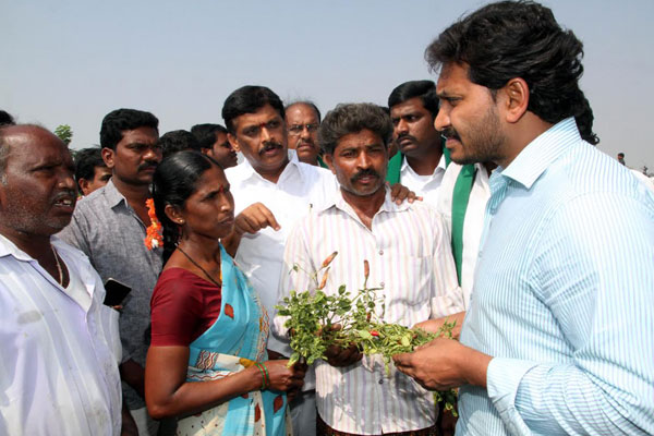 Jagan flays Chandrababu brought drought with him