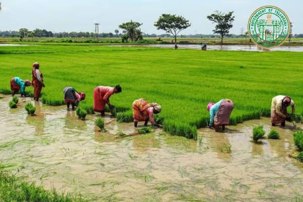 Good news for farmers: Congress Govt finalises guidelines for crop loan waiver