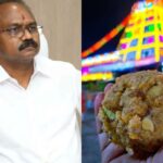 TTD EO Syamala rao about ttd laddu scam