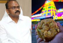 TTD EO Syamala rao about ttd laddu scam