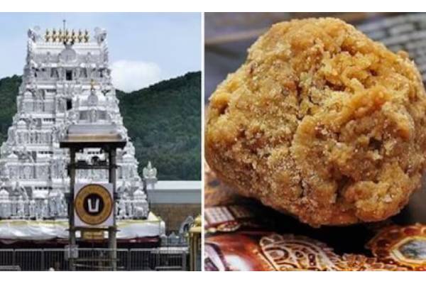 ‘Tirupati Laddu’ controversy pushes YSRCP to the brink