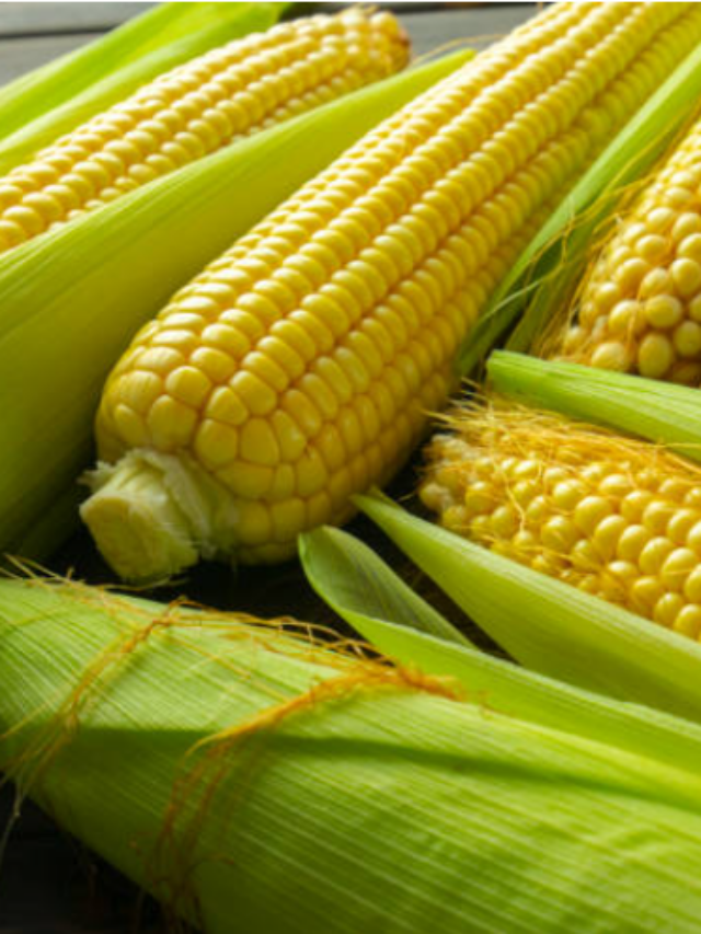 Corn Health Benefits