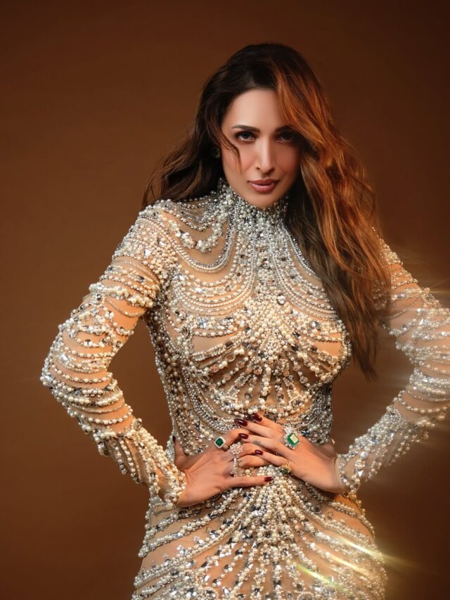 Malaika Arora Dazzling Look